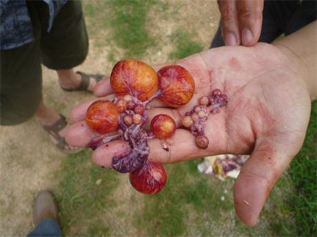 ںʡIhu(chng)g(sh)ָ(do)DVW(xu)(x)